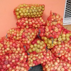 Donation of fruits