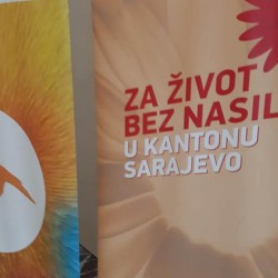 Trening za zdravstvene radnike :&bdquo;Tretman žrtava nasilja u porodici u zdravstvenim ustanovama KS&ldquo;